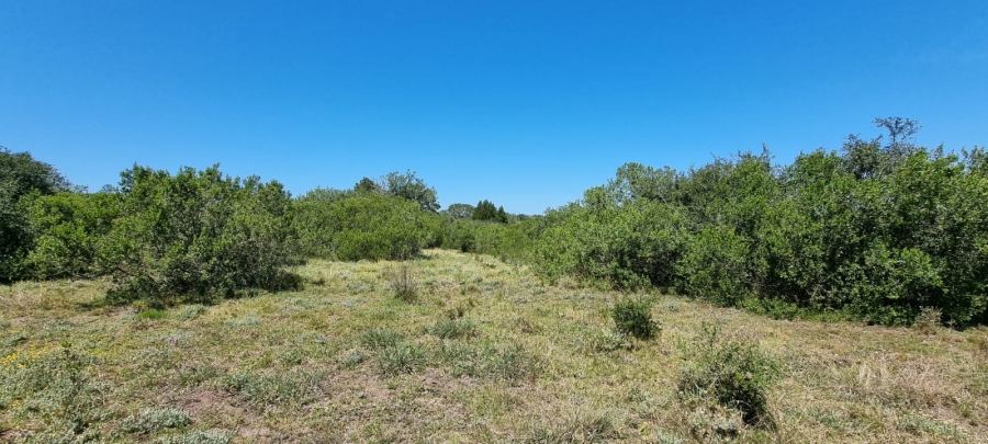  Bedroom Property for Sale in Knysna Rural Western Cape